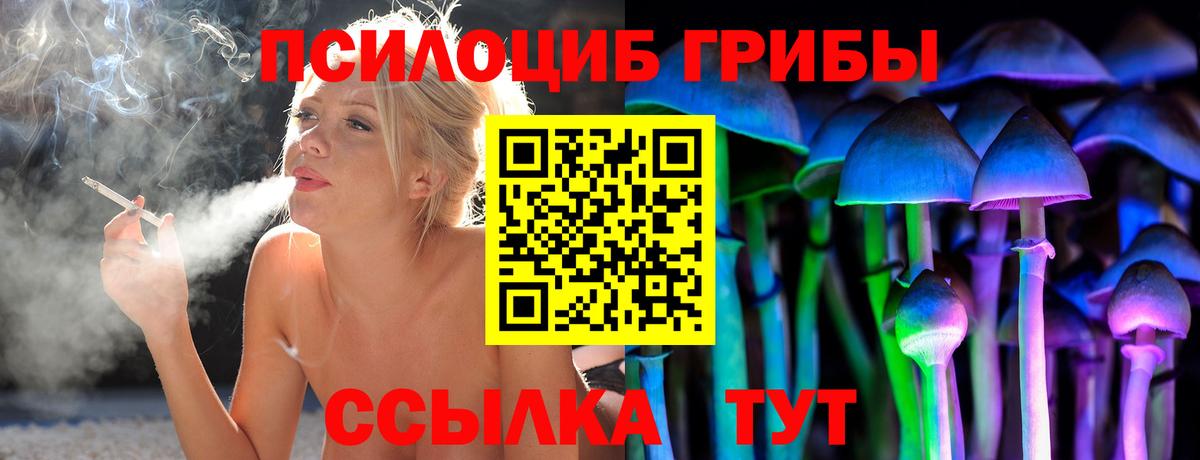 Псилоцибиновые грибы Magic Shrooms  Вход с VPN  Балашиха 